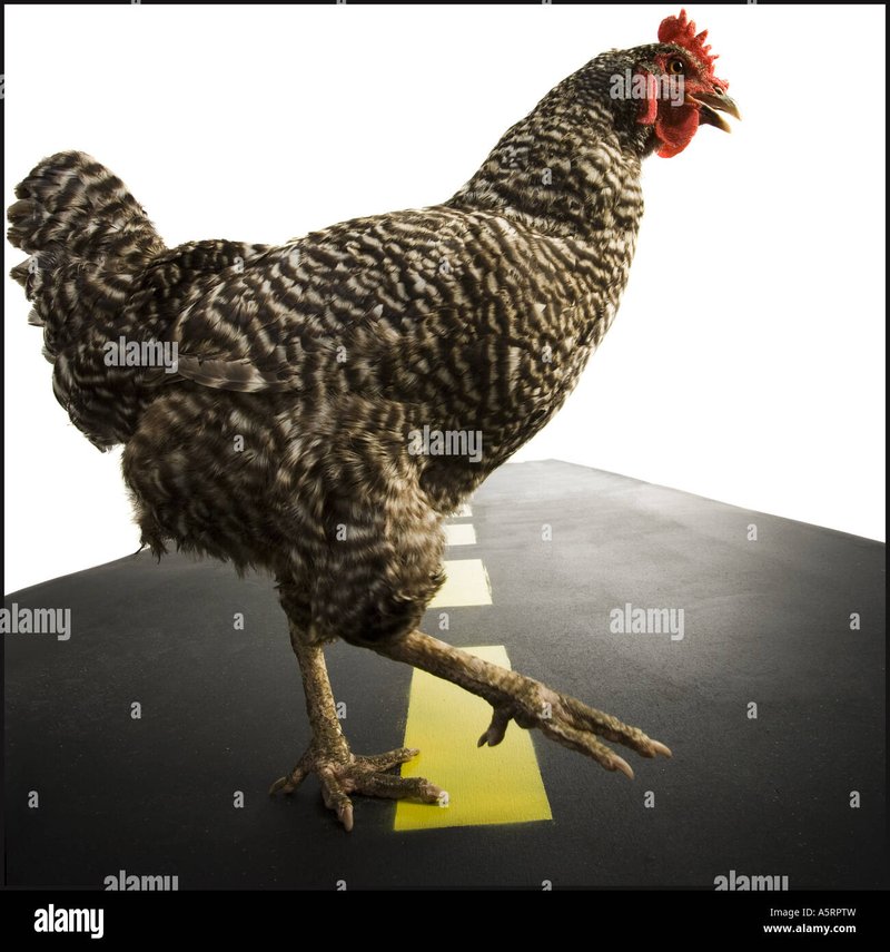 Ontdek het Avontuur op de Legendarische Chicken Road Casino Spel, chicken road slot