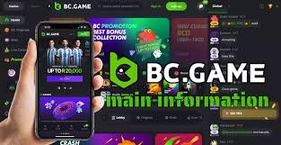 Exploring the Thriving World of BC.Game Platform