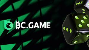 Understanding the BC.Game Login Process