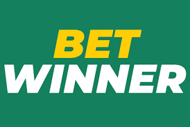 Understanding the BetWinner Login Process A Complete Guide 469994488